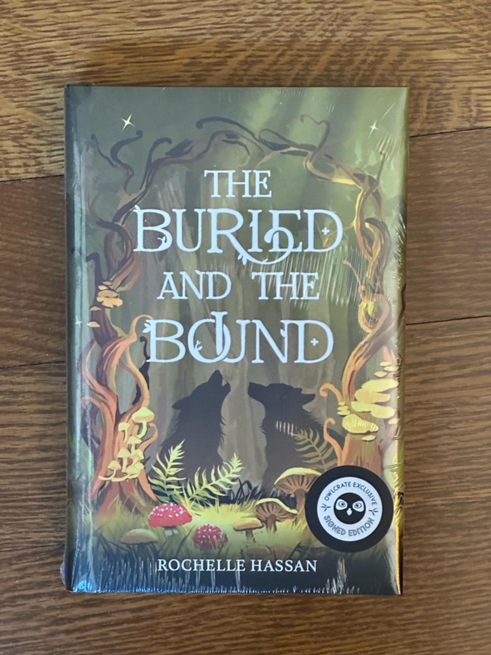 The Buried and the Bound by Rochelle Hassan -Owlcrate signed edition